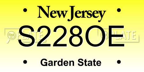 S228OE New Jersey License Plate