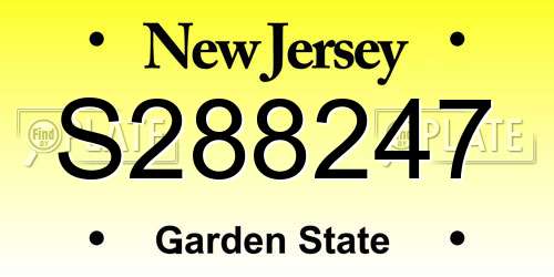 S288247 New Jersey License Plate