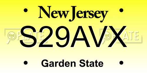S29AVX New Jersey License Plate