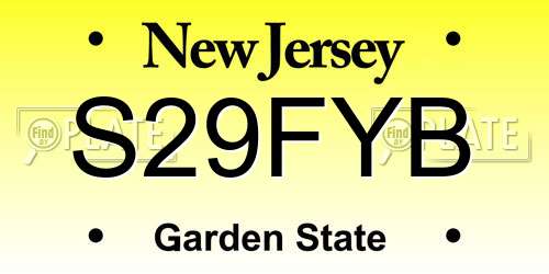 S29FYB New Jersey License Plate