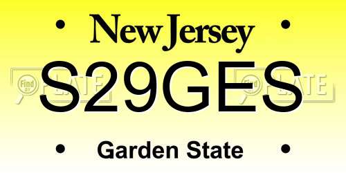 S29GES New Jersey License Plate