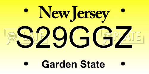 S29GGZ New Jersey License Plate