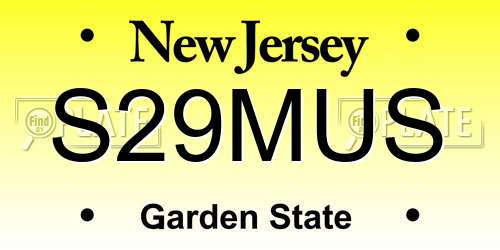 S29MUS New Jersey License Plate
