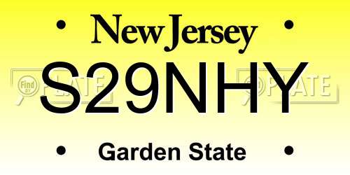 S29NHY New Jersey License Plate