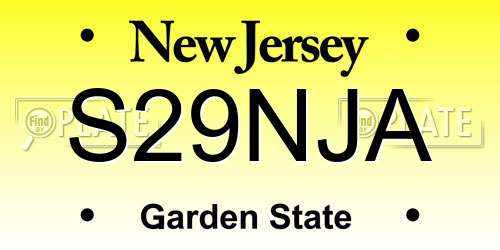 S29NJA New Jersey License Plate
