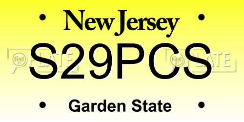 S29PCS New Jersey License Plate