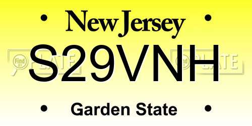 S29VNH New Jersey License Plate