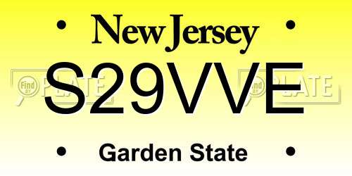 S29VVE New Jersey License Plate