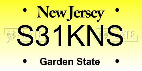 S31KNS New Jersey License Plate