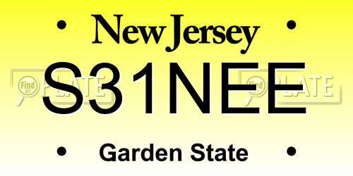 S31NEE New Jersey License Plate