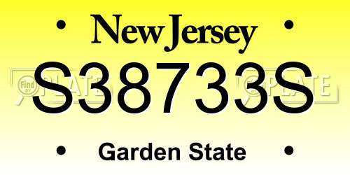 S38733S New Jersey License Plate
