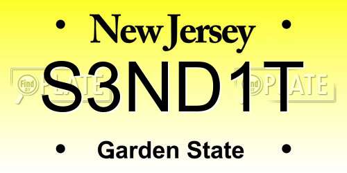 S3ND1T New Jersey License Plate