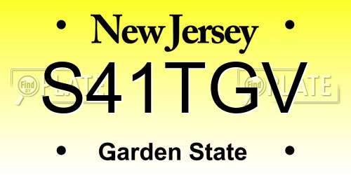 S41TGV New Jersey License Plate