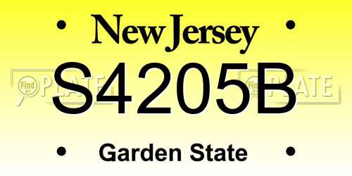 S4205B New Jersey License Plate