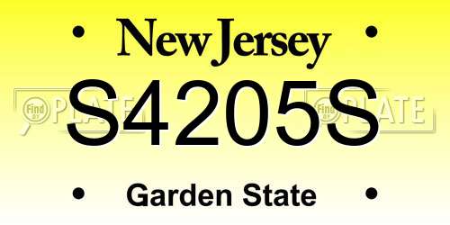 S4205S New Jersey License Plate