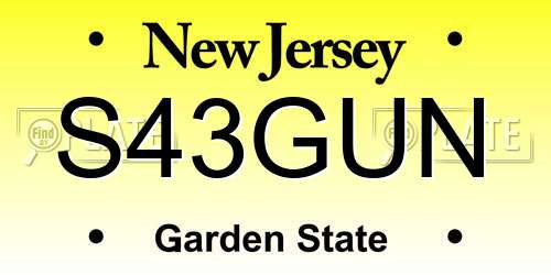 S43GUN New Jersey License Plate