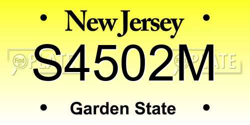 S4502M New Jersey License Plate