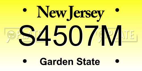 S4507M New Jersey License Plate