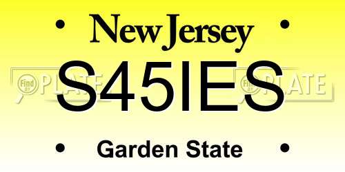 S45IES New Jersey License Plate