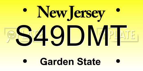 S49DMT New Jersey License Plate