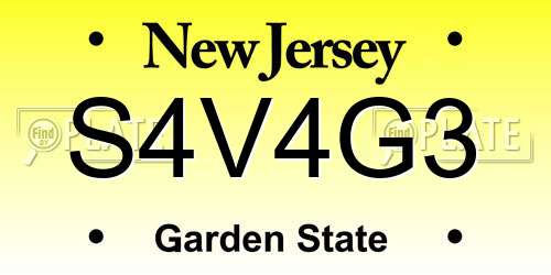S4V4G3 New Jersey License Plate