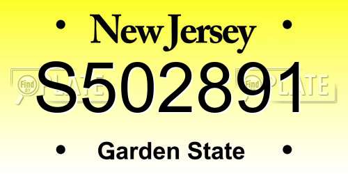 S502891 New Jersey License Plate