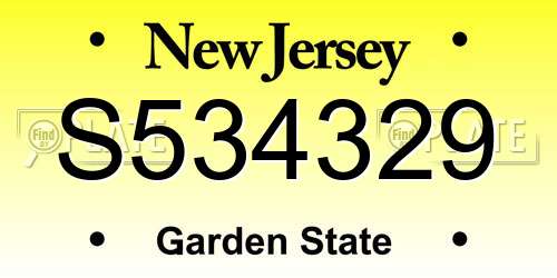 S534329 New Jersey License Plate