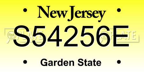 S54256E New Jersey License Plate