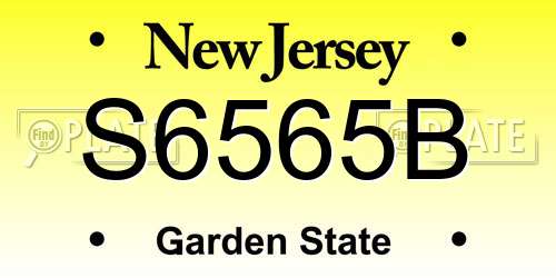 S6565B New Jersey License Plate