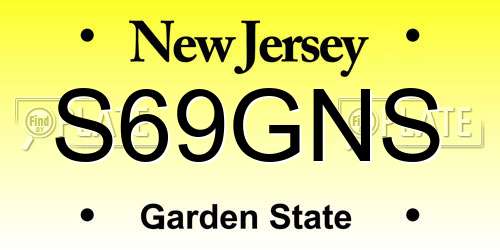 S69GNS New Jersey License Plate