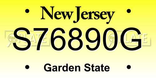 S76890G New Jersey License Plate