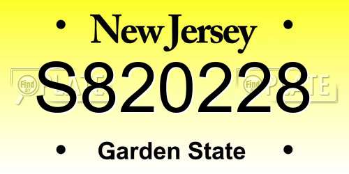 S820228 New Jersey License Plate