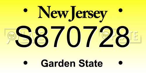 S870728 New Jersey License Plate