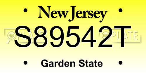 S89542T New Jersey License Plate