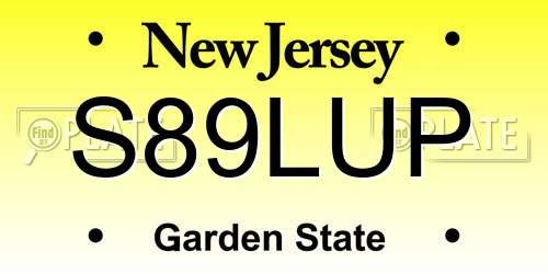 S89LUP New Jersey License Plate