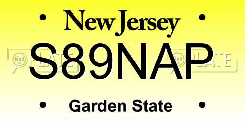 S89NAP New Jersey License Plate