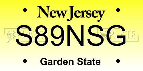 S89NSG New Jersey License Plate