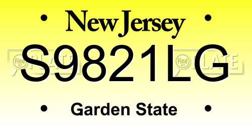 S9821LG New Jersey License Plate