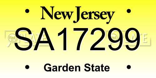 SA17299 New Jersey License Plate