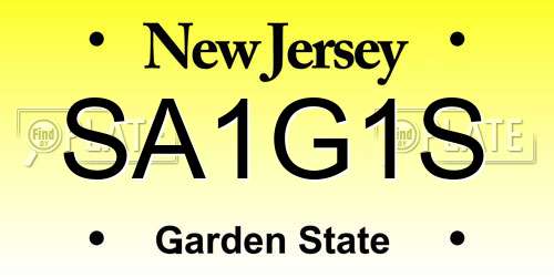 SA1G1S New Jersey License Plate