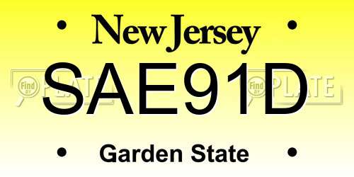 SAE91D New Jersey License Plate