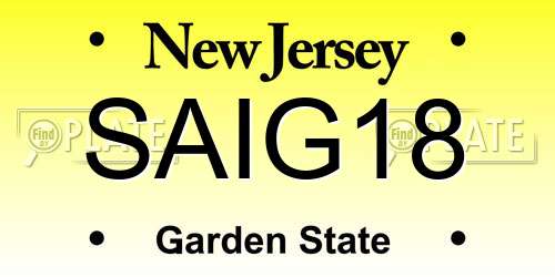 SAIG18 New Jersey License Plate