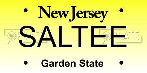 SALTEE New Jersey License Plate