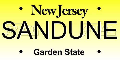 SANDUNE New Jersey License Plate