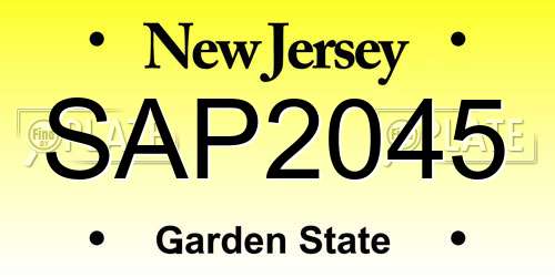 SAP2045 New Jersey License Plate