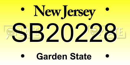 SB20228 New Jersey License Plate