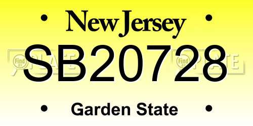 SB20728 New Jersey License Plate