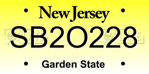 SB2O228 New Jersey License Plate