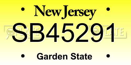 SB45291 New Jersey License Plate