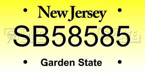 SB58585 New Jersey License Plate